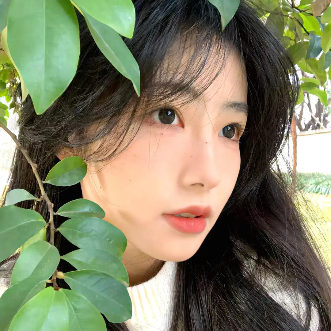 昨夜星辰又逢君